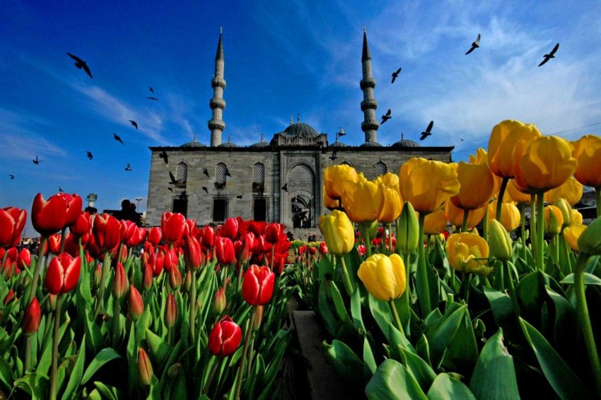  Великден в Истанбул с посещение на парк Емирган и църквата Св. Стефан3 нощувки дневен преход
 - <font color=green> ЦЕНИ С ВКЛЮЧЕНИ ОТСТЪПКИ ЗА РАННИ ЗАПИСВАНИЯ, ВАЛИДНИ ДО 15.03.2020</font>